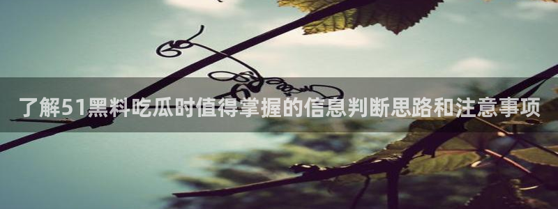 51吃瓜网站导航