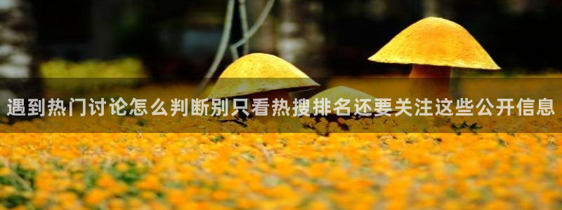 51吃瓜导航