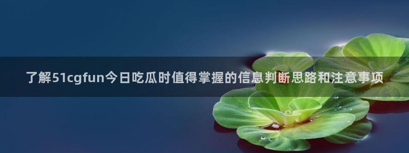 吃瓜网络热搜