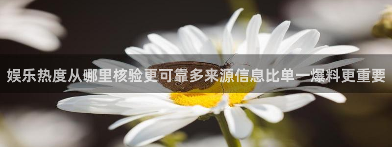 51吃瓜热门内容