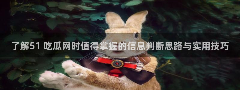 吃瓜网站导航